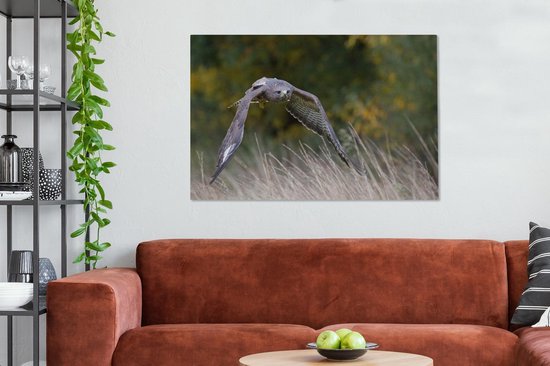 Une buse volant à basse altitude au-dessus des herbes colorées d'automne Toile 140x90 cm - Tirage photo sur toile (Décoration murale salon / chambre)