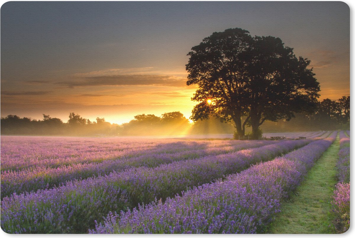 Muismat Lavendelvelden - Mayfield lavendel veld met een mistige zonsopgang muismat rubber - 60x40 cm - Muismat met foto