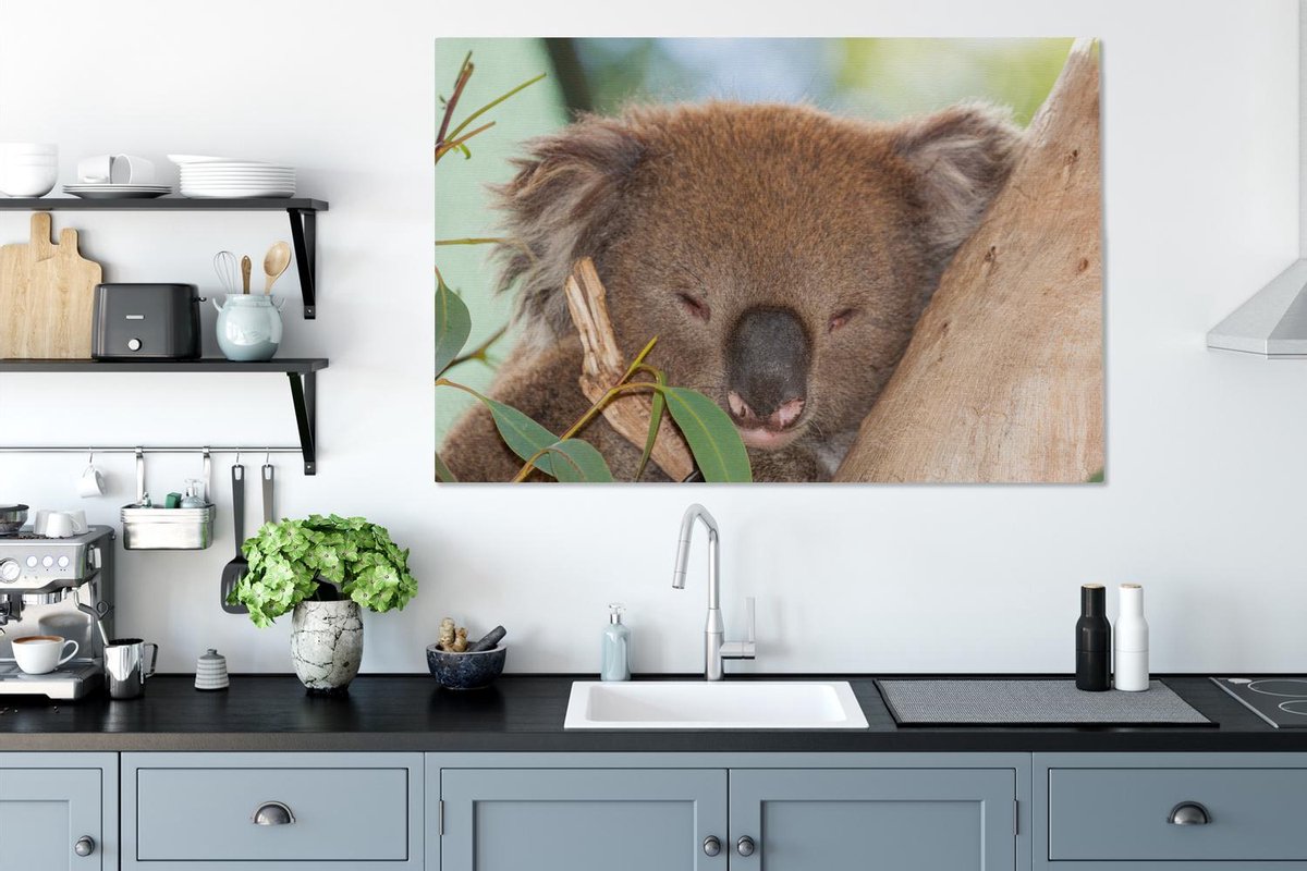 Affiche - Un koala câlin - 120x90 cm