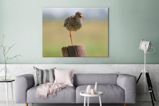 Redshank debout sur une jambe Toile 160x120 cm - Tirage photo sur toile (Décoration murale salon / chambre) XXL / Groot format!