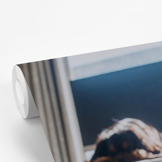 Un chat Ragdoll au repos papier peint photo vinyle largeur 450 cm x hauteur 300 cm - Tirage photo sur papier peint (disponible en 7 tailles)