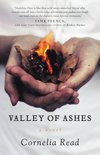A Madeline Dare Novel 4 - Valley of Ashes