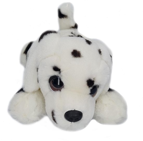 vrouw consultant Inconsistent Pluche Dalmatier wit met zwarte stippen/vlekken honden knuffel 25 cm -  Honden... | bol.com