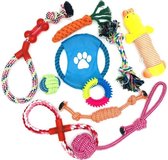Honden speelgoed  - Honden speeltjes - Puppy speeltjes - puppy speelgoed - vernieuwd 10 PACK - inclusief knuffel