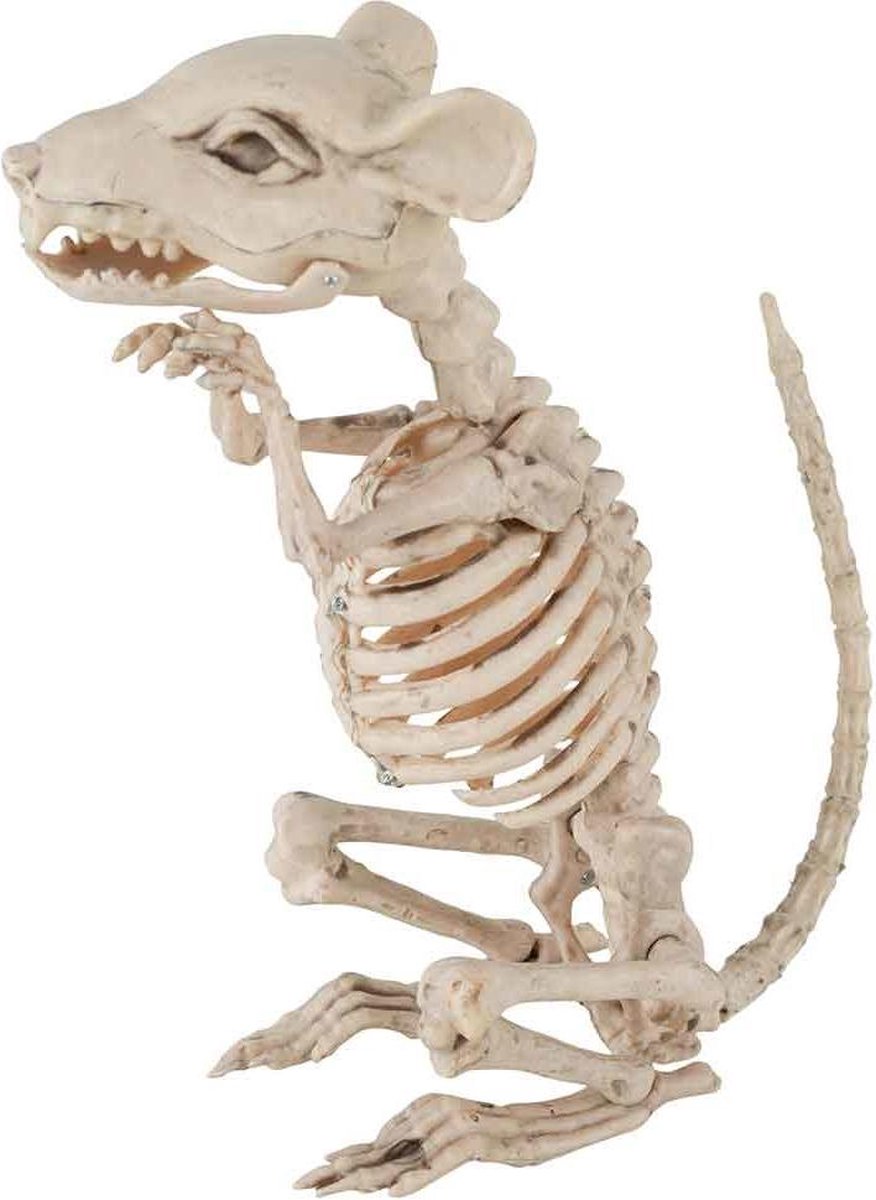 gebruiker Veraangenamen Hollywood Muis Skeleton Natuur 9x28xh33cm | bol.com