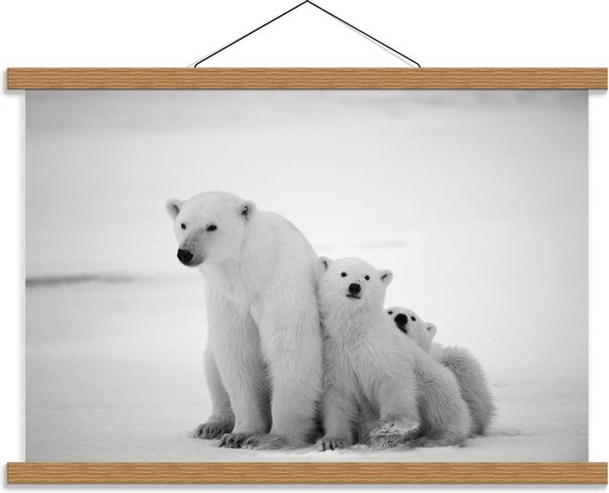 Schoolplaat – Drie Knuffelende IJsberen  - 60x40cm Foto op Textielposter (Wanddecoratie op Schoolplaat)