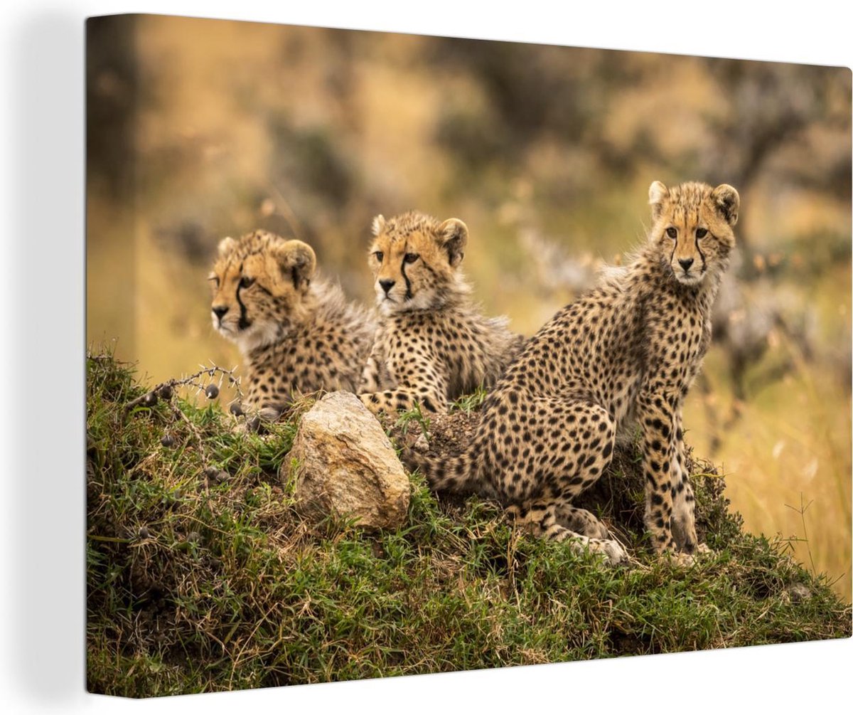 Tableau Sur Toile Léopard - Animaux Sauvages - Nature Decoration