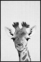 JUNIQE - Poster met kunststof lijst Giraffe - monochrome foto -13x18