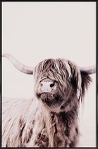 JUNIQE - Poster in kunststof lijst Highland Cattle Frida Crème -60x90