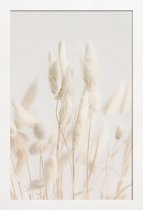 JUNIQE - Poster in houten lijst Dried Flowers Lagurus 2 -40x60 /Grijs