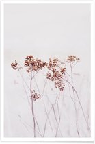 JUNIQE - Poster Wild Flowers Iceland 115 -13x18 /Ivoor