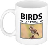 Steenuilen mok met dieren foto birds of the world