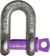 Deltalock D-sluiting met Borstbout  -  Werklast: 2 ton