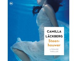 Omslag van Steenhouwer