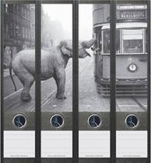 Étiquette arrière autocollante Elephant At Tram en Zwart et Wit