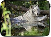 Laptophoes 14 inch - Witte tijger in het water - Laptop sleeve - Binnenmaat 34x23,5 cm - Zwarte achterkant
