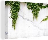 Canvas Schilderij Klimplant op een witte muur - 120x80 cm - Wanddecoratie