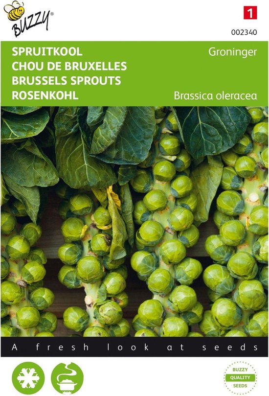 Buzzy zaden - Spruitkool Groninger - Brassica oleracea