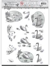 3D Pushout - Amy Design - Paroles de sympathie - Sympathy Swans