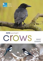 RSPB - RSPB Spotlight Crows