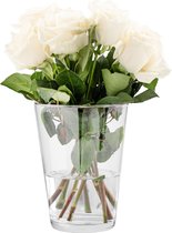 Tulpenvaas H: 19 cm bloemenvaas glas grote vaas voor rozen glazen vaas ronde vaas voor tulpen Amaryllis vaas grote rozenvaas ronde glazen vaas doorzichtige vaas | diameter 14,2 cm |