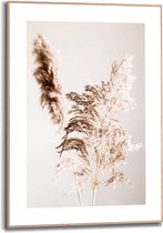 Schilderij Bloemen en Planten Pampasgras 70x50 cm