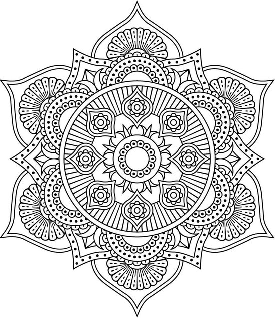 Livre coloriage adulte par Colorya | Edition In Bloom | Avec Reliure  Spirale et Papier de Qualité au Format A4 | Cahier de Coloriage Adultes -  Dessin