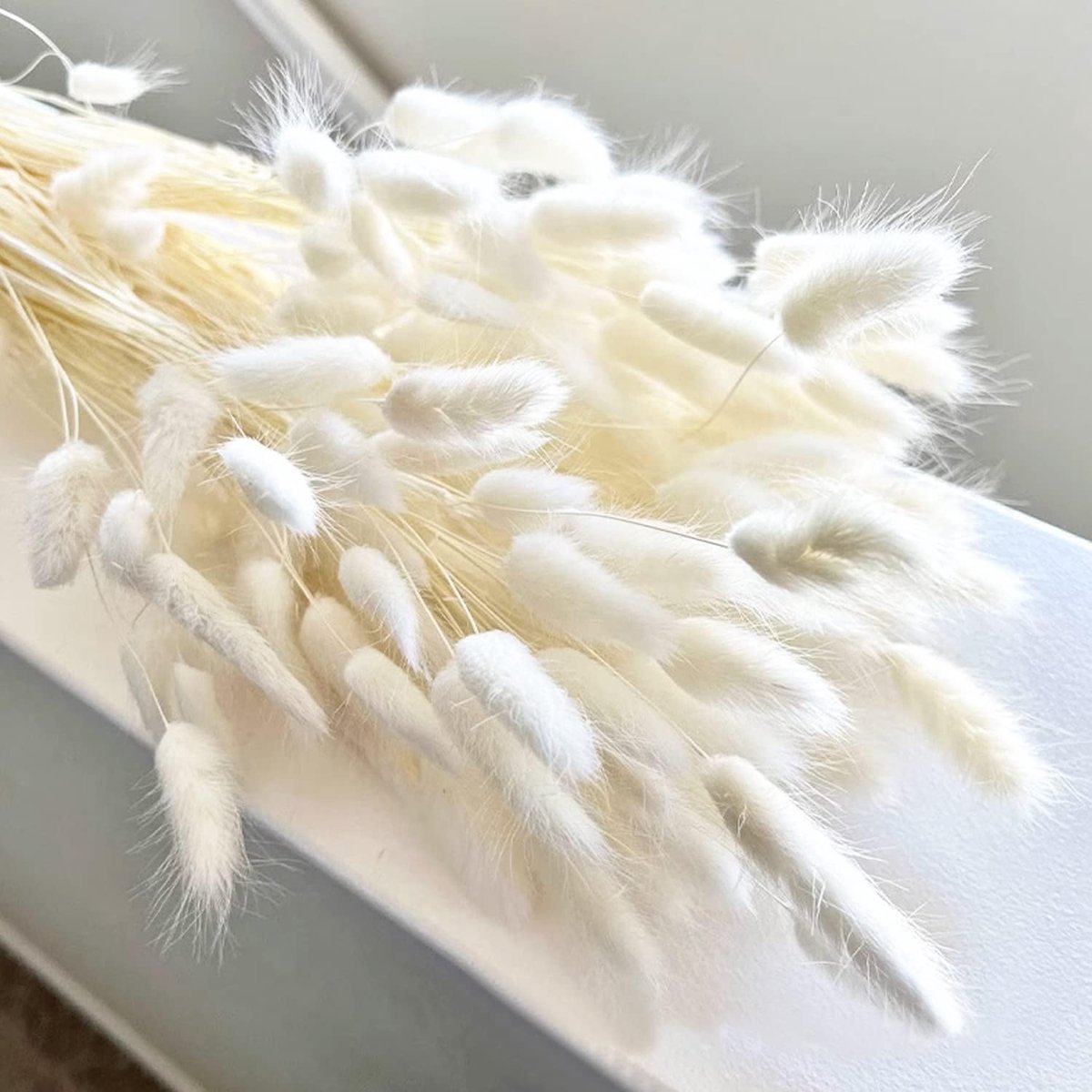 120 Stuks Gedroogde Bloemen Konijnenstaarten Pampasgras Natuurlijke Konijnenstaart Gedroogd Boeket Pampasgras Decoratie voor Thuis Boho Huisdecoratie Bloemstukken (Wit)