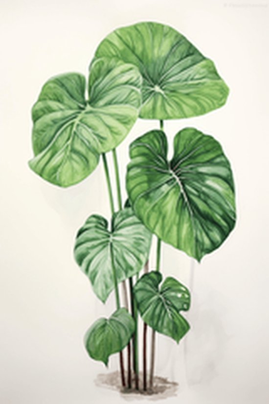 Monstera Poster | Kamerplant Poster | Plantenposter | Natuurposter | 61x91cm | Wanddecoratie | Muurposter | CW | Geschikt om in te lijsten