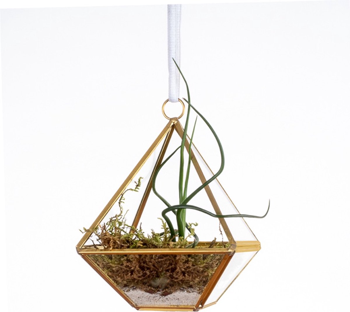 WinQ- Terrarium Piramide goud/glas 10x10x14- voorzijde open-inclusief Tillandsia en zand