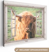 Schotse hooglander - Koe - Doorkijk - Canvas - 40x30 cm - Wanddecoratie