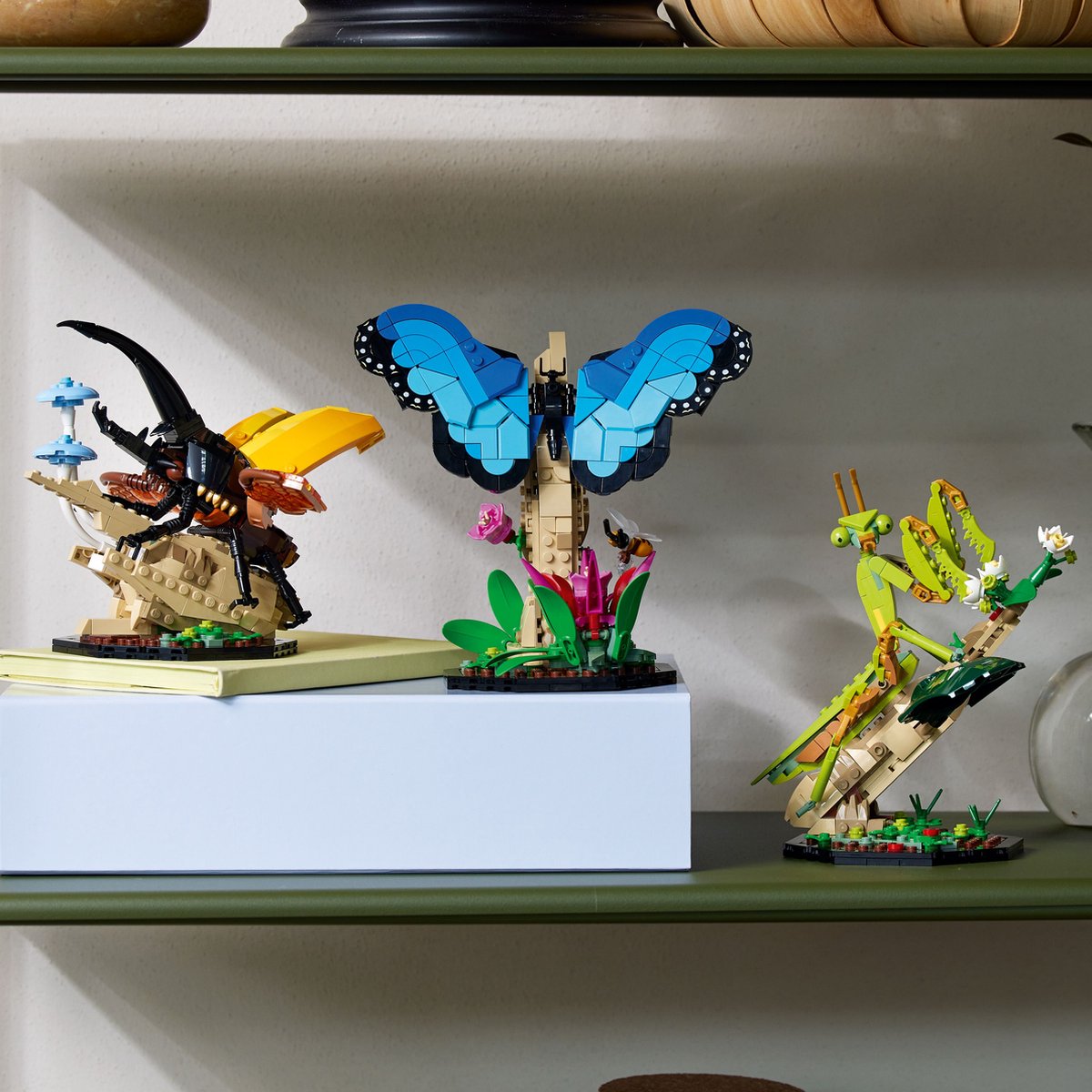 LEGO Ideas De Insectencollectie - 21342 — afbeelding 17