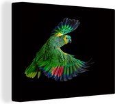 Gros plan sur toile de perroquet coloré 2cm 120x90 cm - Tirage photo sur toile (Décoration murale salon / chambre)