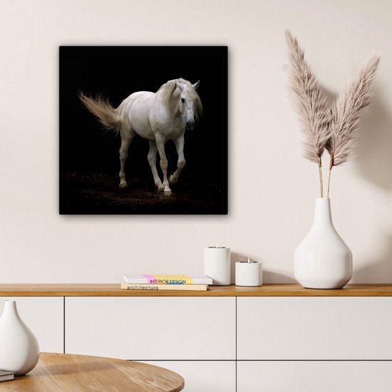 Cheval Wit devant une toile fond noir 2cm 50x50 cm - impression photo sur toile peinture Décoration murale salon / chambre à coucher) / Animaux sauvages Peintures Toile
