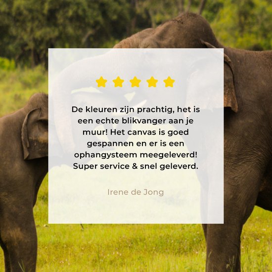 Deux éléphants de combat sur toile 2cm 30x20 cm - petit - Tirage photo sur toile (Décoration murale salon / chambre) / Animaux sauvages Peintures sur toile