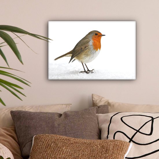 Robin dans la neige Toile 30x20 cm - petit - Tirage photo sur toile (Décoration murale salon / chambre)
