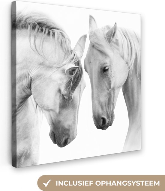 Canvas - Dieren - Paarden - Zwart - Wit - Schilderijen op canvas - 20x20 cm - Foto op canvas - Canvasdoek