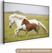 Canvas Schilderij Paarden - Dieren - Gras - 60x40 cm - Wanddecoratie
