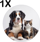 BWK Luxe Ronde Placemat - Hond en Kat met Witte Achtergrond - Set van 1 Placemats - 40x40 cm - 2 mm dik Vinyl - Anti Slip - Afneembaar