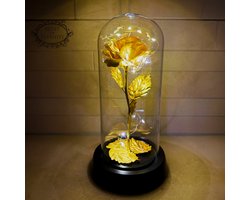 Roses of Eternity - Gouden roos in glazen stolp met LED - Cadeau voor vrouw, (beste) vriendin, haar - Valentijn - Moederdag - Valentijnsdag - Huwelijk - Eeuwige Roos - Romantisch Liefdes - Rozen in glas