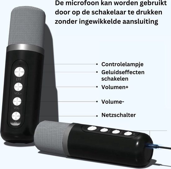 Haut-parleur Bluetooth portable Karaoke Machine avec 2 micros sans