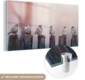 MuchoWow - Glasschilderij - Acrylglas - Vogel - Mus - Paal - Lucht - Foto op glas - Wanddecoratie - 40x20 cm - Glasschilderij vogels - Glasschilderij dieren - Muurdecoratie - Slaapkamer