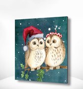 Painting Expert® Schilderen op nummer Volwassenen - Schilderen op nummer Kinderen - Uilen Kerstmis - 40x50cm - Exclusief Lijst (24 kleurtjes)