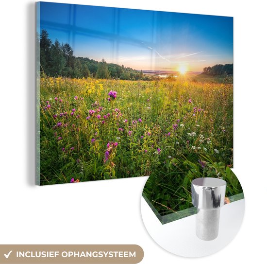 MuchoWow® Glasschilderij 90x60 cm - Schilderij acrylglas - Zon - Gras - Bloemen - Foto op glas - Schilderijen