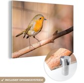 MuchoWow® Glasschilderij 90x60 cm - Schilderij acrylglas - Vogel - Tak - Roodborstje - Foto op glas - Schilderijen