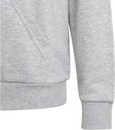 Sweat à capuche en coton adidas Sportswear Big Logo Essentials - Enfants - Grijs- 128