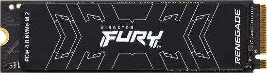 Kingston Technology FURY Renegade