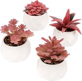 Bol.com Belle Vous 4 Roze Artificiële Vetplanten in Potten - Decoratieve Faux Gepotte Bloemen - Realistische Mini Nep Planten in... aanbieding