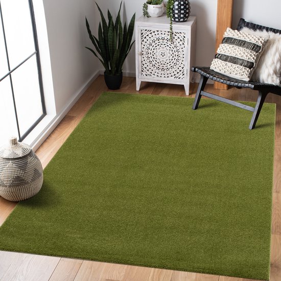 Tapis Cabanon Uni Poils Ras Tapis Moderne Vert - 200x290 CM