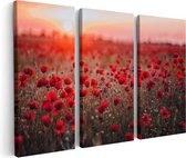 Artaza Canvas Schilderij Drieluik Rode Klaprozen Bloemenveld Zonsondergang - 150x100 - Groot - Foto Op Canvas - Canvas Print